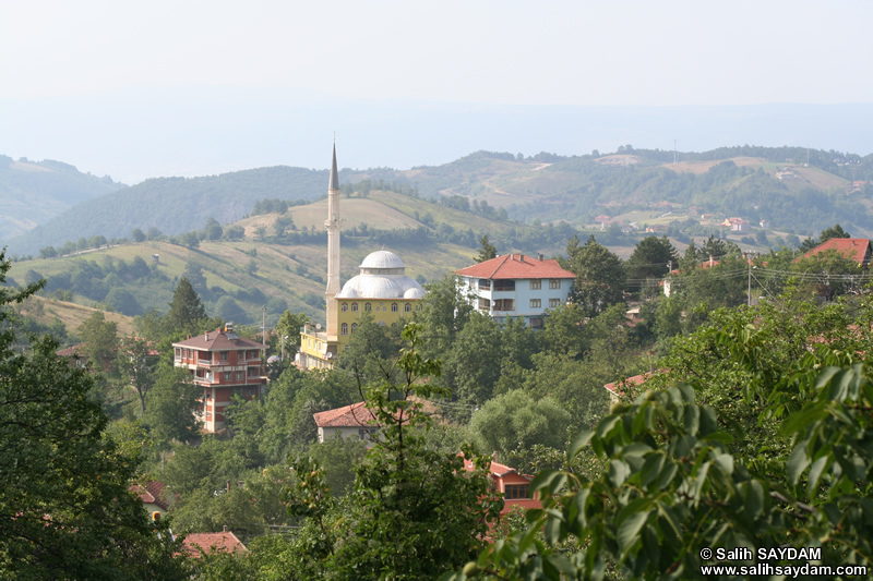 Nzhetiye Ky Fotoraf Galerisi 2 (Kocaeli (zmit), Glck)