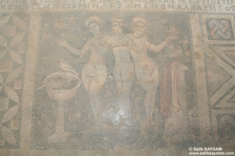 The Mosaic of Three Graces Photo 1 (Mersin, Narlikuyu (Garden of Eden))