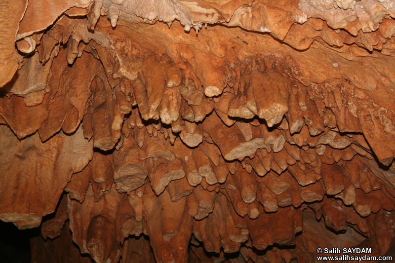 Astim (Dilek) Cave Photo Gallery 5 (Mersin, Silifke)