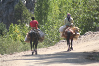 Gokbelen Upland Photo Gallery (Mersin, Silifke)