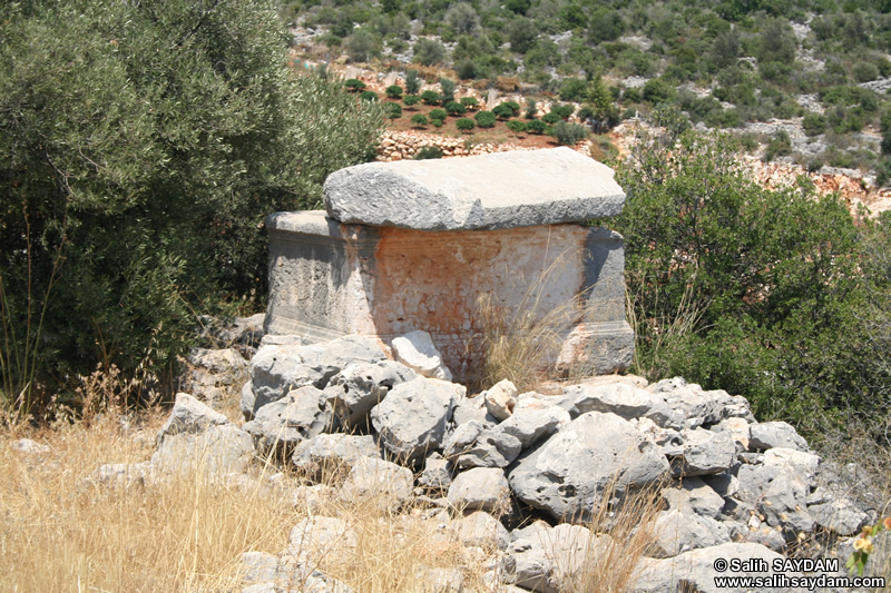 Kanytella (Kanlidivane, Canytellis) Road Photo Gallery 2 (Tomb) (Mersin, Silifke)