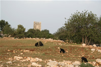 Between Kizkalesi and Human Boulders (Adamkayalar) On Road Photo Gallery (Mersin, Erdemli)