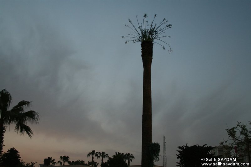 A Photo in Mersin (Mersin)