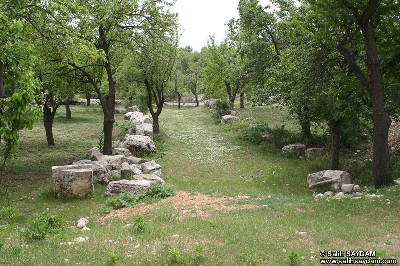 Uzuncabur Fotoraf Galerisi 4 (Antik Tiyatro) (Mersin, Silifke, Uzuncabur)