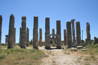 Diocaesarea (Uzuncaburc) Photo Gallery 15 (Zeus "Olbios" Temple) (Mersin, Silifke, Diocaesarea (Uzuncaburc))