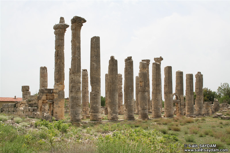 Diocaesarea (Uzuncaburc) Photo Gallery 5 (Zeus "Olbios" Temple) (Mersin, Silifke)