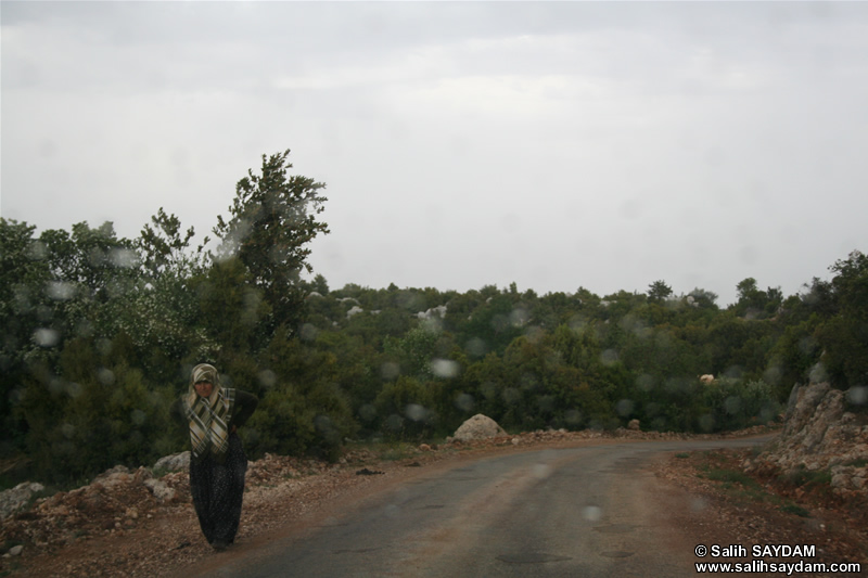 Between Diocaesarea (Uzuncaburc) and Kizkalesi On Road Photo Gallery (Mersin)