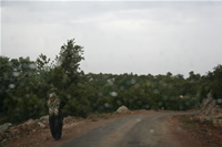 Between Diocaesarea (Uzuncaburc) and Kizkalesi On Road Photo Gallery (Mersin)