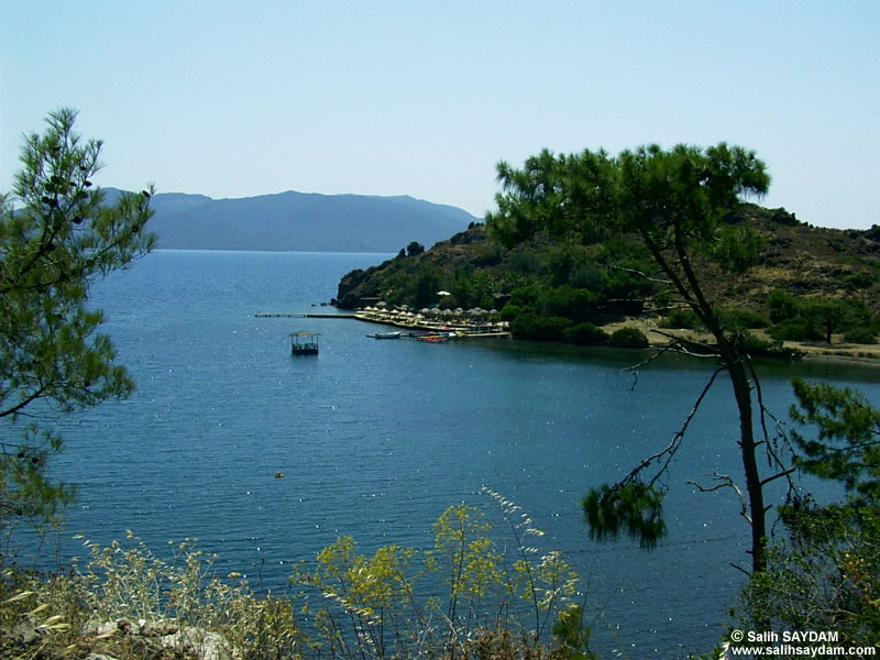 Bortubet Photo Gallery (Mugla)