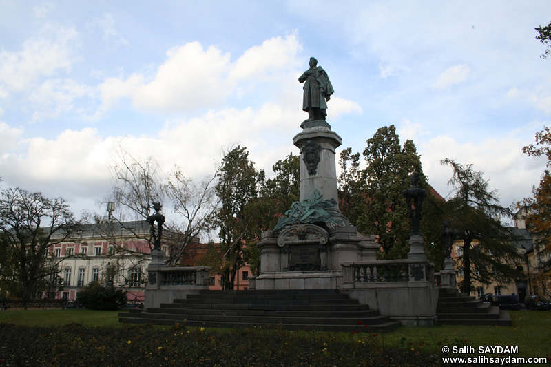 Adam Mickiewicz Ant Fotoraf Galerisi (Varova, Polonya)