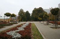 Mirowski Park (Parku Mirowskim) Photo Gallery (Warsaw, Poland)