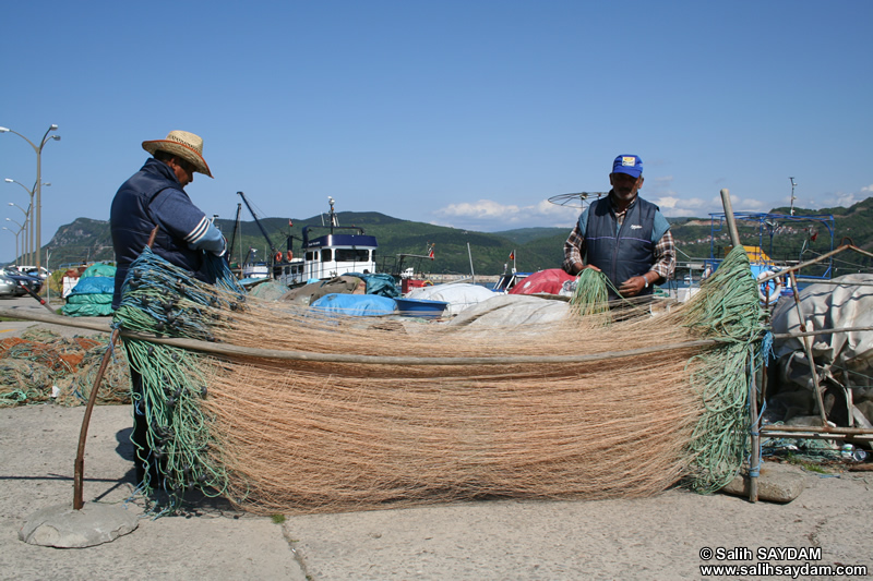 Bartin Portrait Photo Gallery 1 (Fishermen in Amasra)