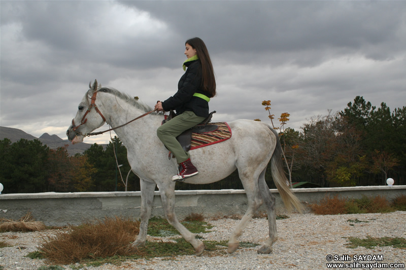 Dolunay Saydam Fotoraf Galerisi 3 (Ata Binme)