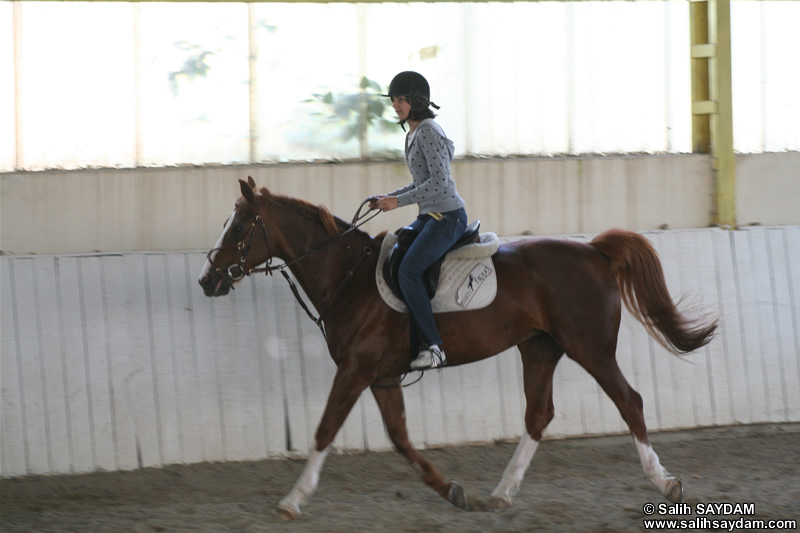 Dolunay Saydam Photo Gallery 6 (Horse Riding)