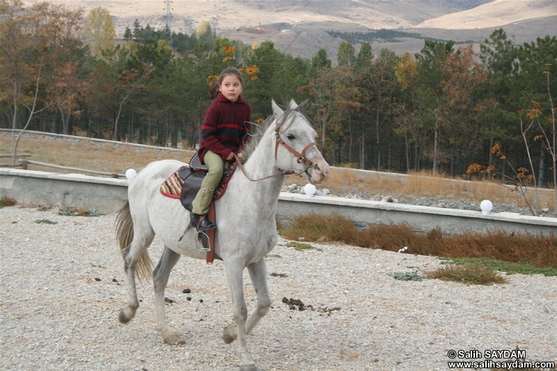 Sevenay Saydam Fotoraf Galerisi 6 (Ata Binme)