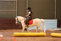 Sevenay Saydam Photo Gallery 9 (Horse Riding)