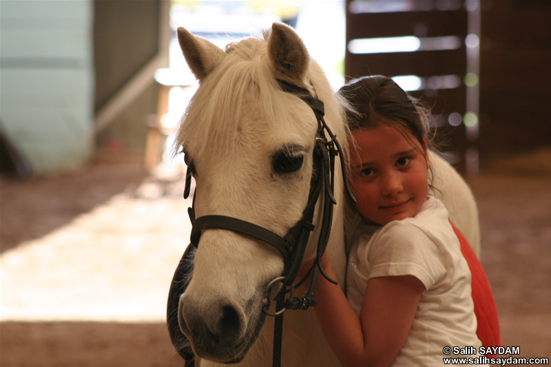 Sevenay Saydam Photo Gallery 10 (Horse Love)