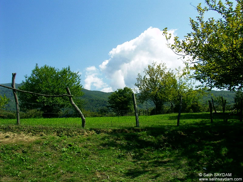 Kuzuluk Fotoraf Galerisi (Sakarya)