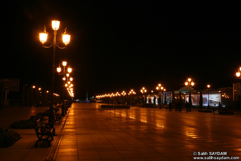 Independence Road Photo Gallery 3 (Night) (Samsun, Ilkadim)