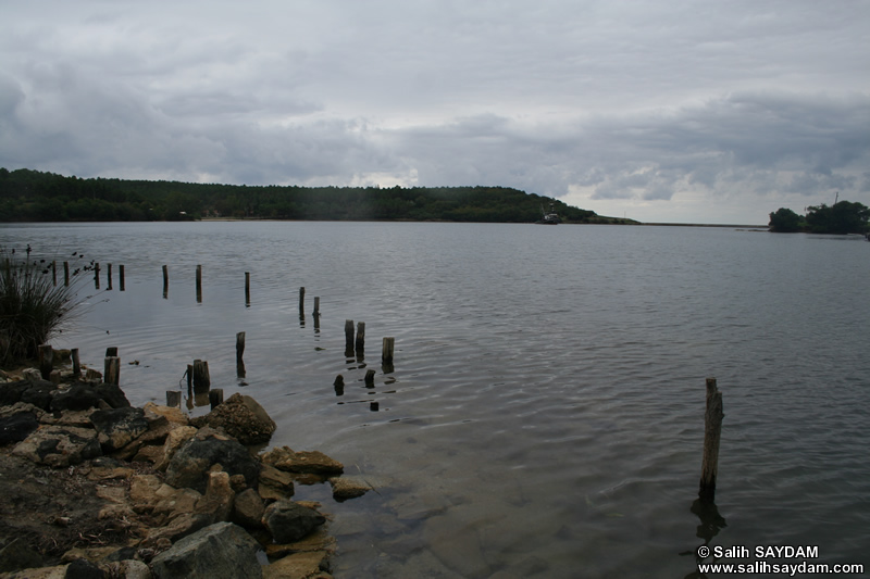 Hamsilos Bay Photo Gallery (Sinop)