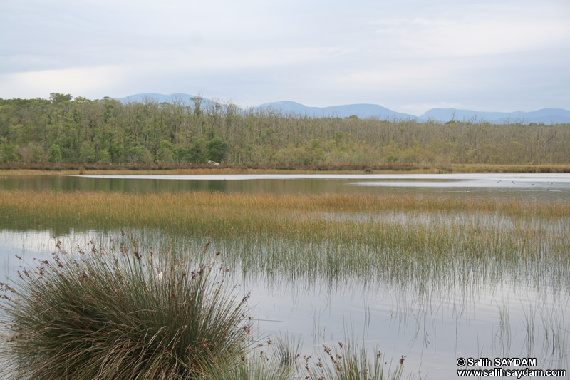 Sarikum Lagoon Lake Photo Gallery (Sinop)