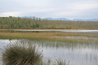 Sarikum Lagoon Lake Photo Gallery (Sinop)