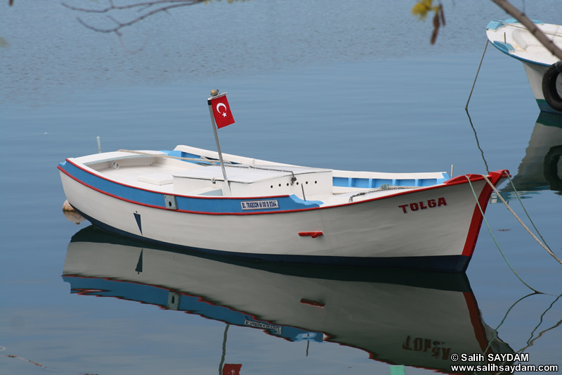 Akcaabat Photo Gallery 2 (Fisher Harbor) (Trabzon)