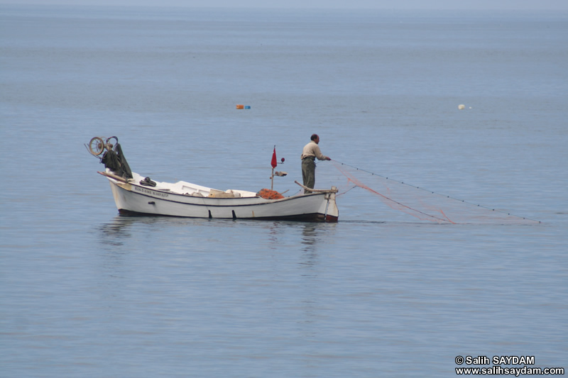 Akcaabat Photo Gallery 3 (Fisher) (Trabzon)