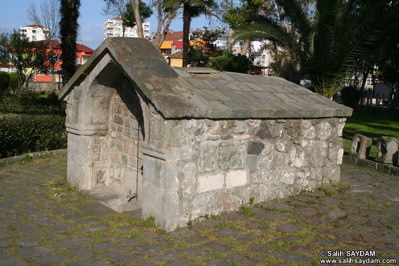 Ayasofya Mzesi Fotoraf Galerisi 10 (Ayasofya Kilisesi) (Trabzon)