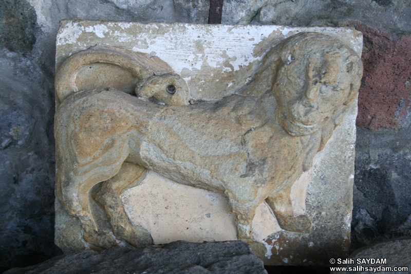 Hagia Sophia Museum Photo Gallery 12 (Trabzon)