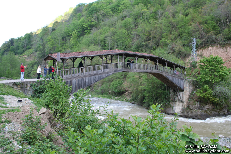 Hapsiya Kprs (Kiremitli Kpr) Fotoraf Galerisi 1 (Trabzon)