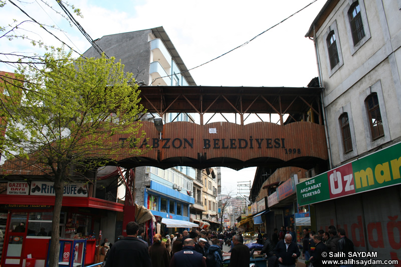 Moloz Fotoraf Galerisi (Trabzon)