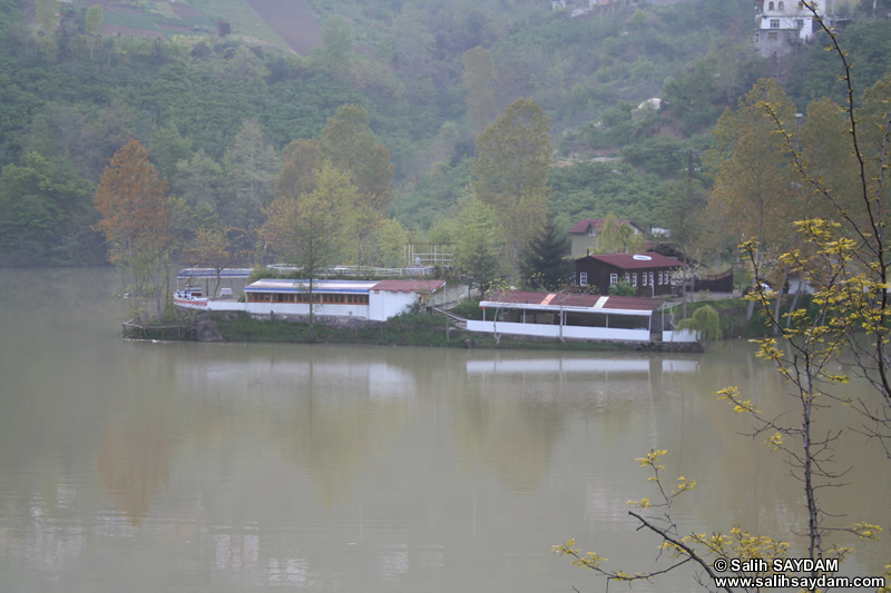 Sera Gl Fotoraf Galerisi 2 (Trabzon)