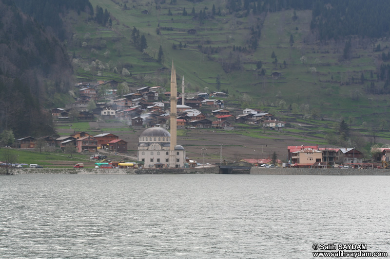 Uzungl Fotoraf Galerisi 2 (Trabzon)