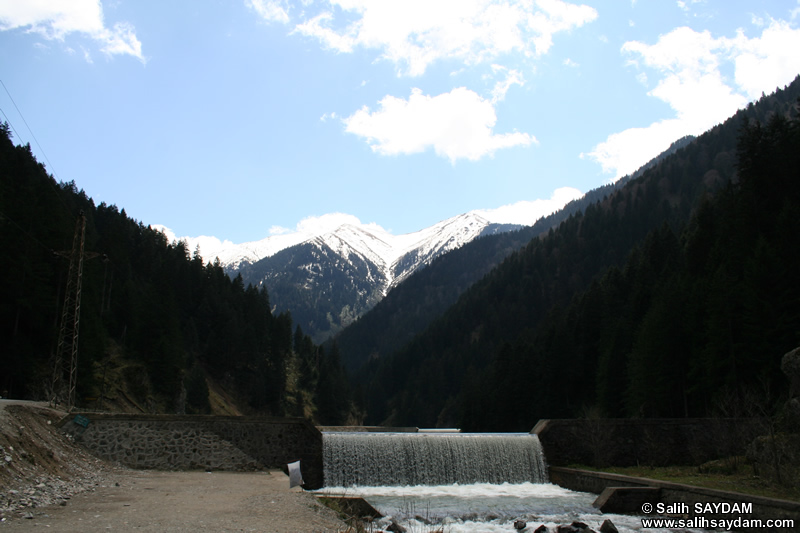 Uzungl Fotoraf Galerisi 7 (Trabzon)