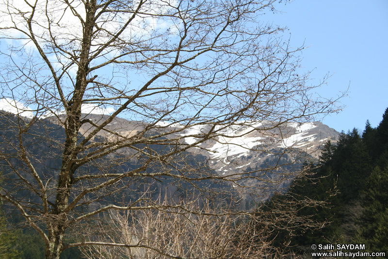 Uzungol (Long Lake) Photo Gallery 8 (Trabzon)