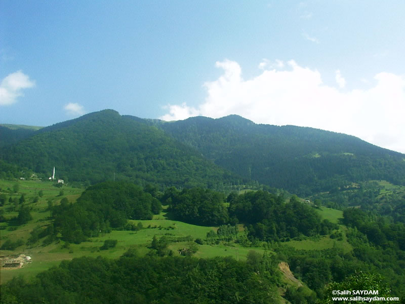 Zigana Geidi'nin Trabzon Taraf Fotoraf Galerisi 1 (Trabzon)