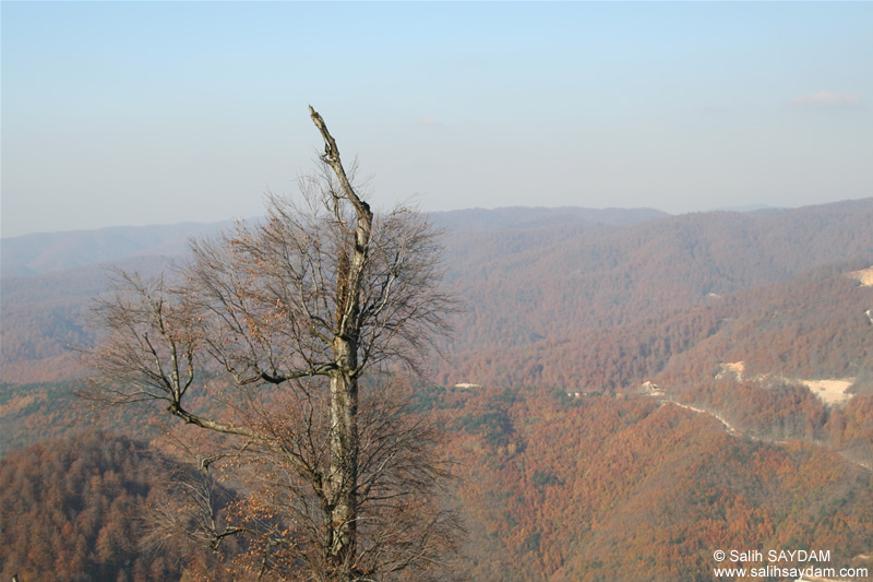 Mount Bolu Crossing Photo Gallery 2